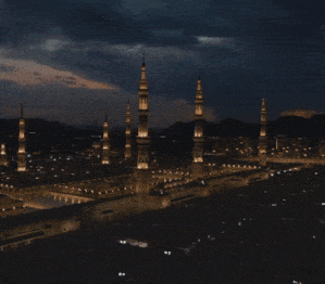 هيئة تطوير منطقة المدينة